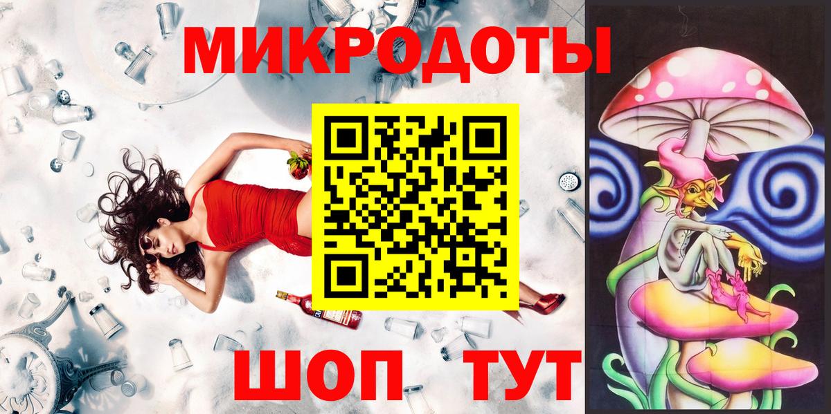 Галлюциногенные грибы Psilocybe Калининград