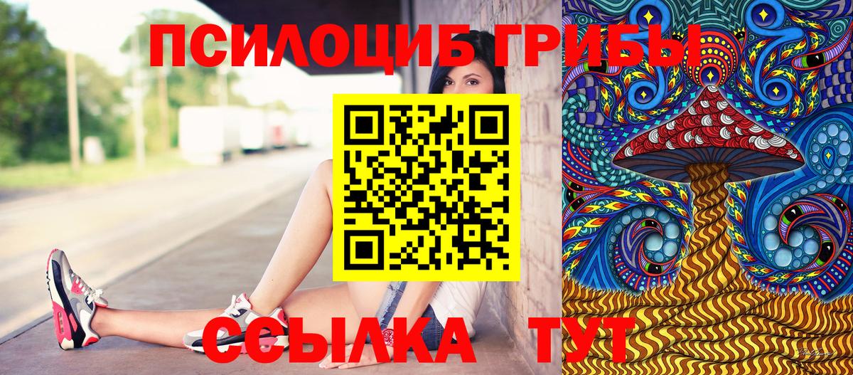 Псилоцибиновые грибы Psilocybe  Вход с VPN  Калининград  Псилоцибиновые грибы GOLDEN TEACHER 